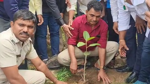 Satara , Sayaji Shinde, Tree Plantation