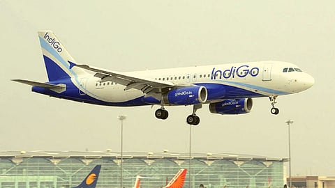 Indigo
