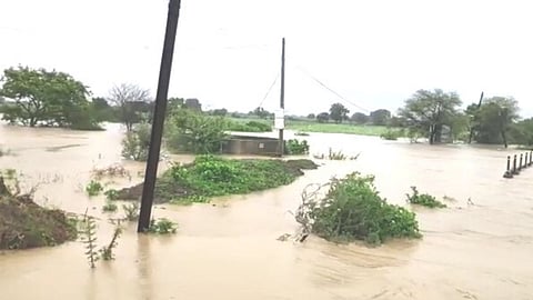 Nanded Ardhapur Taluka Heavy Rain 