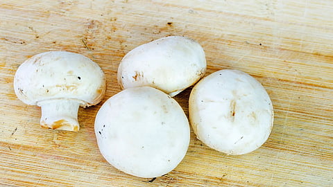 Benefits of mashroom, Health tips, Food tips