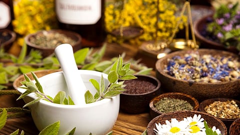 Immunity booster, Herbs which can do wonders to your immunity during monsoon