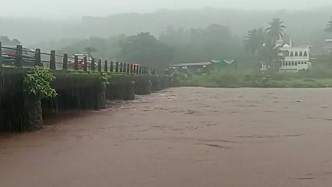 konkan rain update 