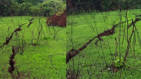raigad news