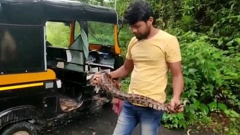 titwala, python, auto rickshaw