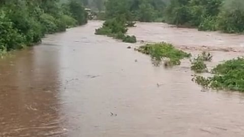 buldhana, chikhali, rain, farm