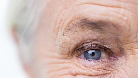 Senior Citizen Day , Eye care Tips