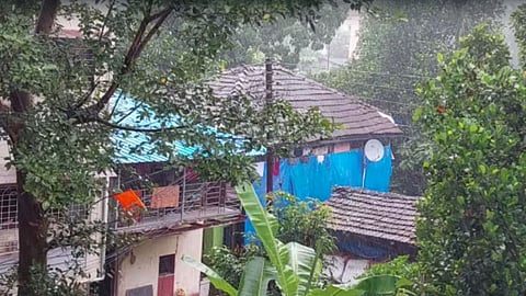 Maharashtra Rain Update