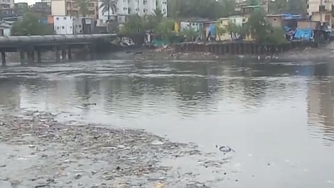 Mithi River