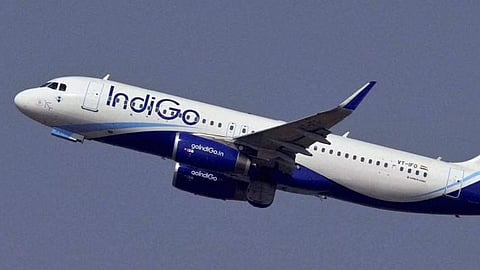 Indigo Flight News 