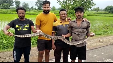 python, bhandara