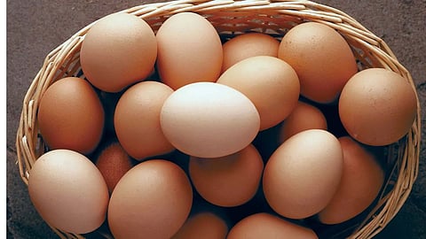 Eggs