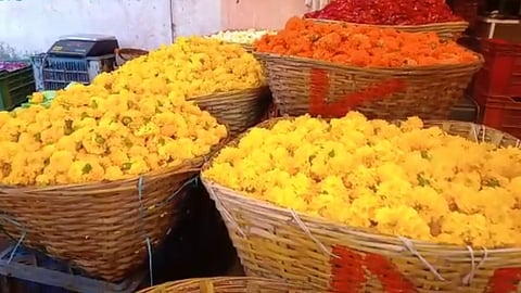 nagpur , marigold flowers, ganeshotsav 2022 , ganpati