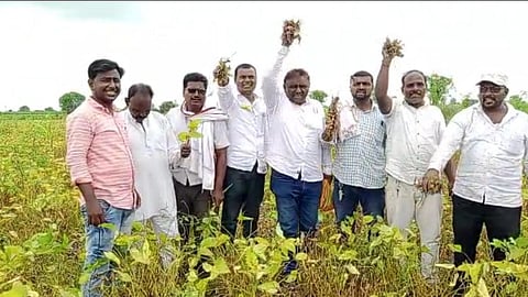 Farmer News Beed
