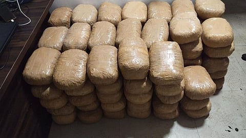 210 kg ganja seized by ncb