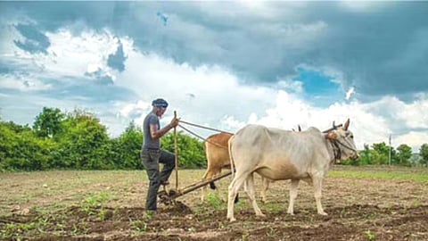 PM Kisan Yojana 