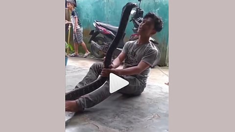 Viral Video: तरुणाचा किंग कोब्रासोबत डान्स, जीव मुठीत धरुन अनेकांनी पाहिलाय व्हिडीओ