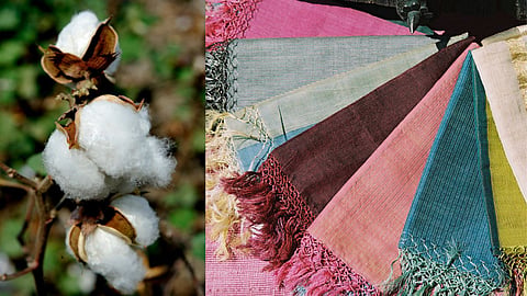 World Cotton Day