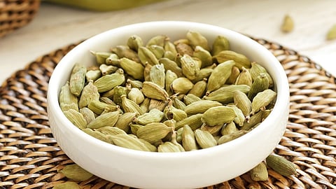 Cardamom Benefits 