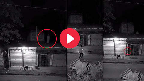 Palghar Ghost Viral Video
