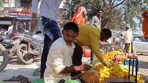aurangabad, marigold