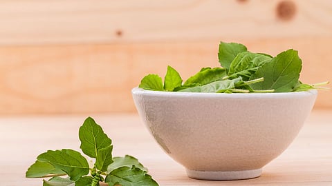 Benefits Of Tulsi 