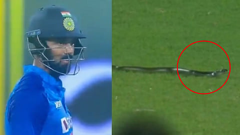 IND VS SA T20 Match Snake Enter in Ground Snake viral video
