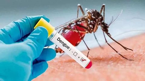 Sangli, dengue 
