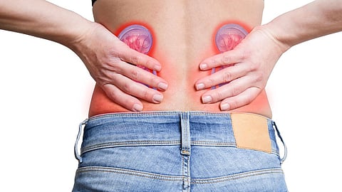 Kidney Disease