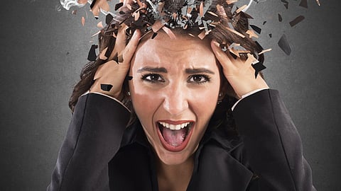 Pollution And Stress 