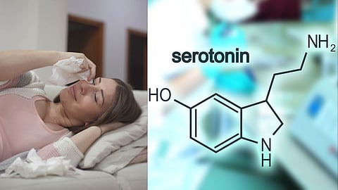 Hormones 