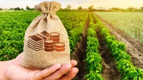 Crop Loan