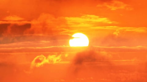 Smiling Sun