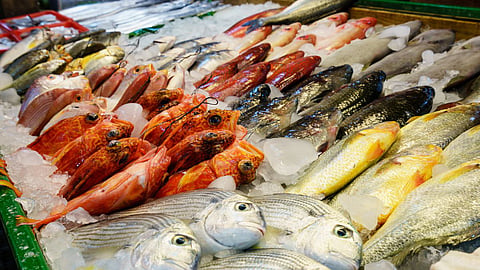 How To Buy Fish 