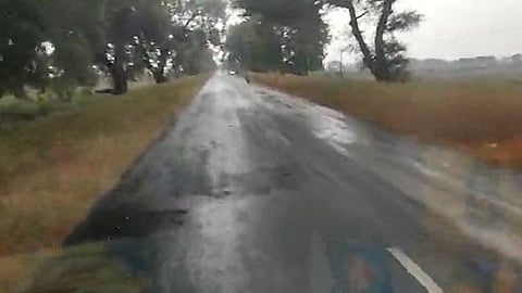 Untimely Rain In Maharashtra 
