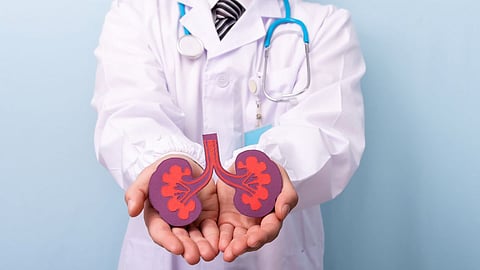 Kidney Transplant