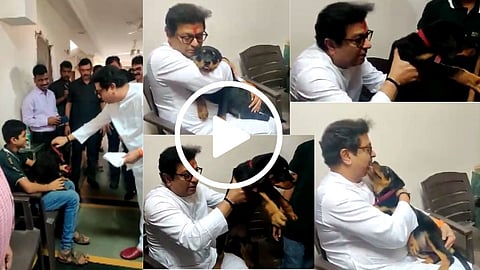 Dog Lover Raj Thackeray