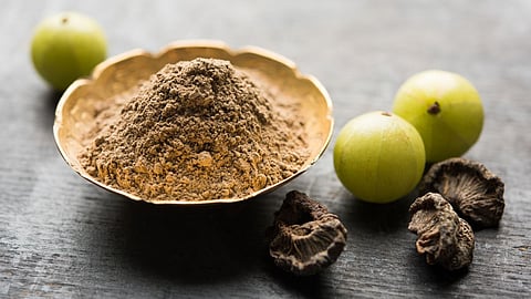 Amla Powder Benefits 