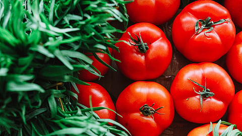 Overeating Tomato Side Effects