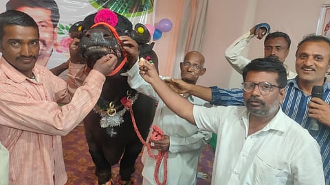 sangli, islampur