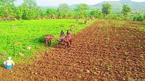 Beed News