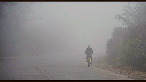 Maharashtra Cold Wave
