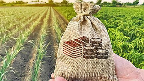 crop insurance