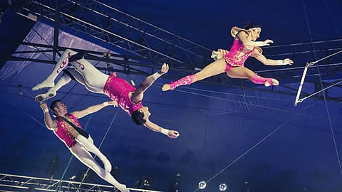 Circus Education 