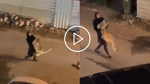 Viral Video 