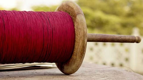 Nylon Manja, Nashik, Makar Sankranti