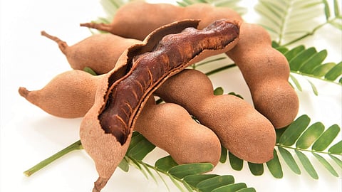 Tamarind Disadvantage 