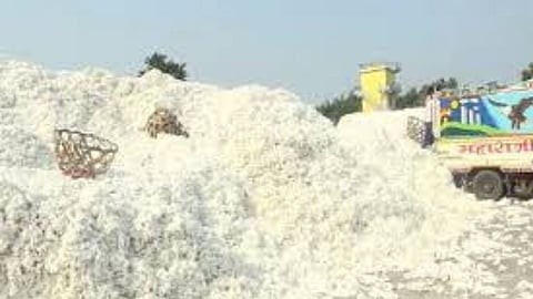 Cotton Price