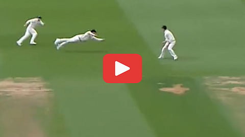Michael Bracewell Catch
