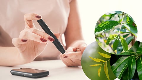 Diabetes Tips