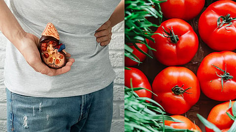 Tomato Side Effects 